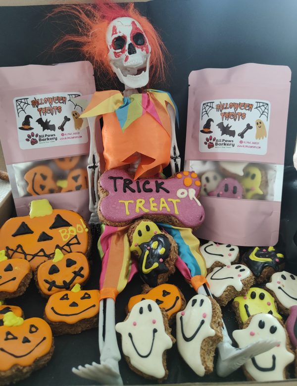 Halloween Box Of Goodies